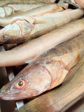 🆕 Șalău de Dunăre 🐟 România 🇷🇴
