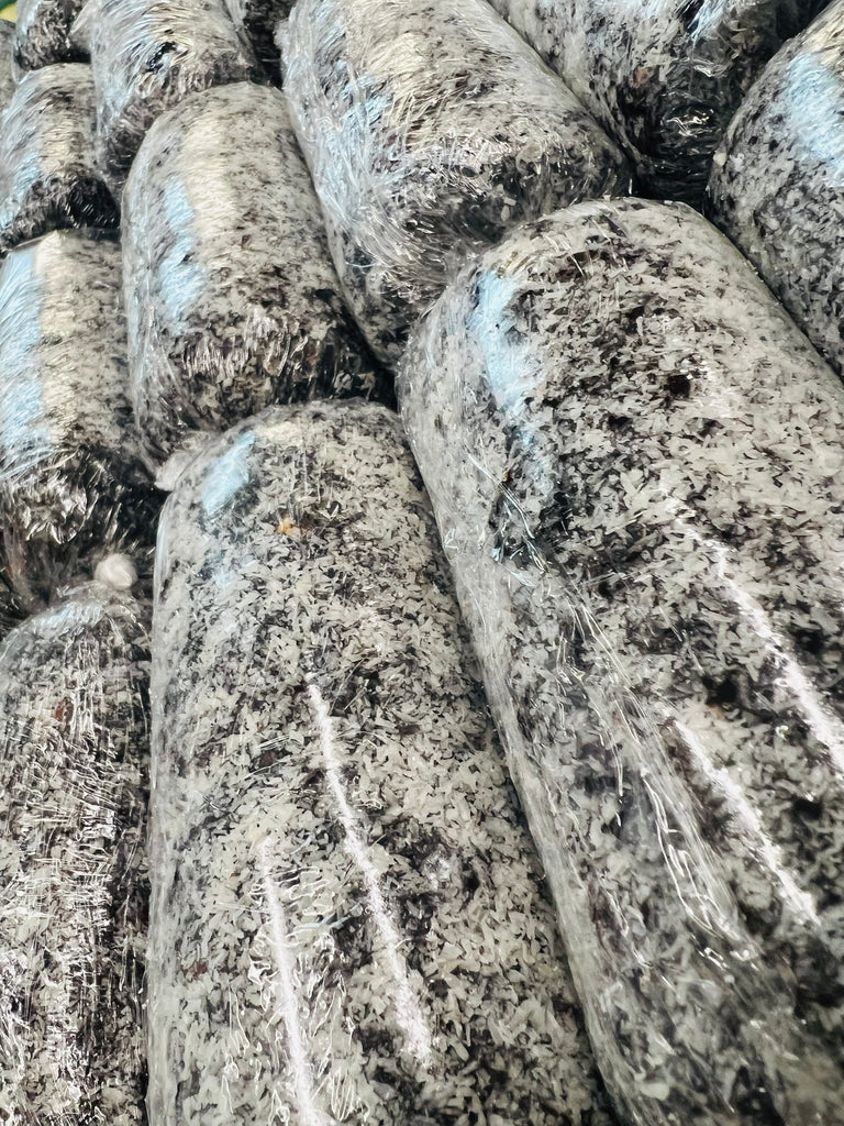 Homemade biscuit salami wrapped in roasted hazelnuts