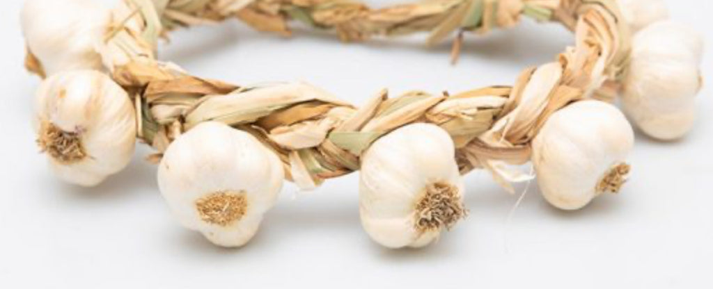 Usturoi funie 💯 românesc