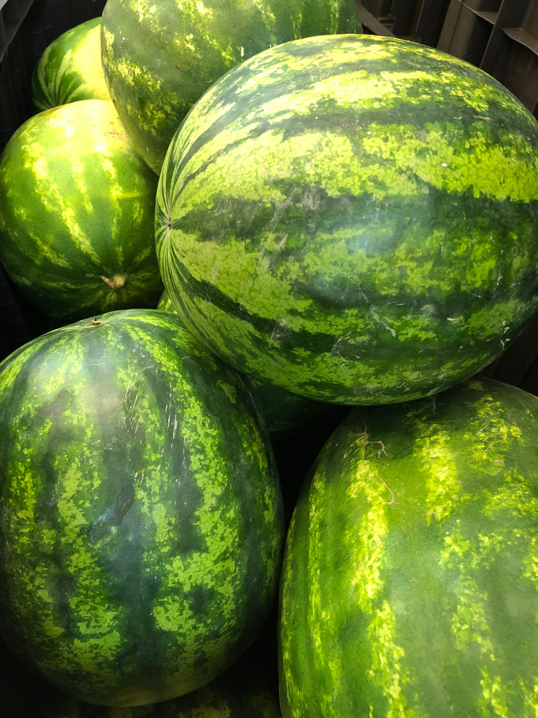 Pepene verde - Dăbuleni